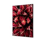 decoración textil de Pared SET A2 Cactus Rojo