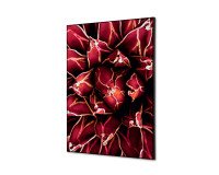 Décoration Murale en Tissu SET A2 Cactus Rouge