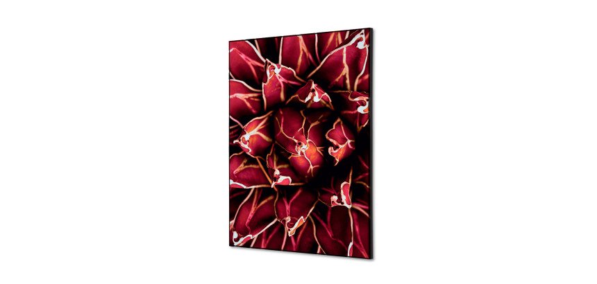 decoración textil de Pared SET A2 Cactus Rojo