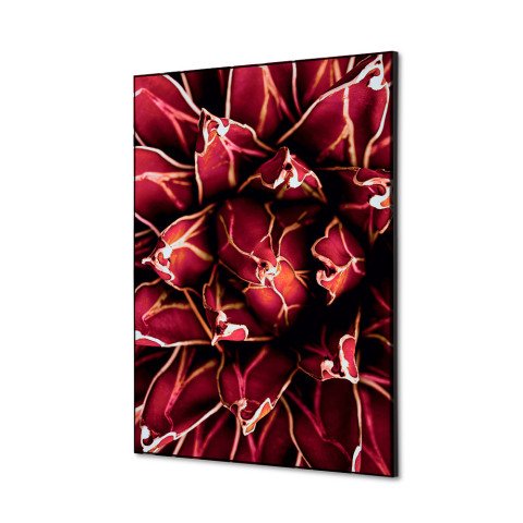 decoración textil de Pared SET A2 Cactus Rojo