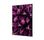 Wanddecoratie Textiel SET A2 Cactus Paars