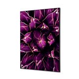 Décoration Murale en Tissu SET A2 Cactus Violet
