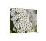 Cloison en tissu 150-150 Double Fleur Blanche Spirée