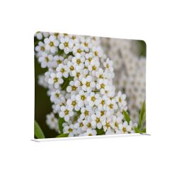 Cloison horizontale double en tissu motif fleur de Spirée blanche