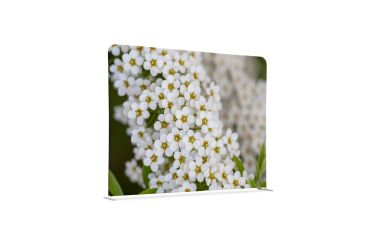 Textil Raumteiler 200-150 Doppel Weiße Blume Spirea