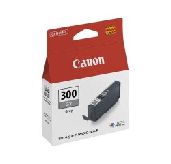 Canon 4200C001 inktcartridge 1 stuk(s) Origineel Grijs