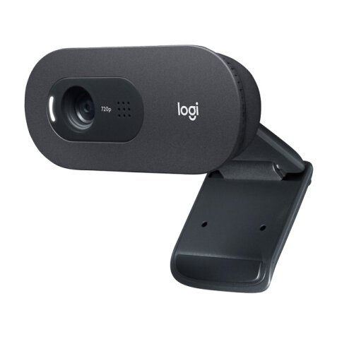 Logitech C505 Webcam 1280 x 720 Pixel USB Schwarz