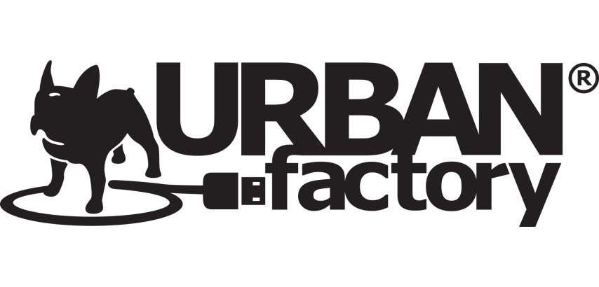 Urban Factory DOUBLE HEAD SECURITY CABLE FOR NOTEBOOK WITH 2 LOCKS TYPE câble antivol Noir