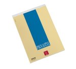 Pigna 0213748BI writing notebook A4 70 sheets Multicolour