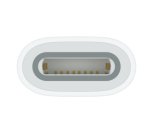 Apple USB-C to Pencil Adapter Blanco 1 pieza(s)