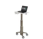Ergotron C50-1100-0 Support de livres Supports de Laptop Gris 39,6 cm (15.6")