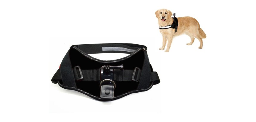 ACTIVEON ACM09DV accessoire de caméra sportive d'action Harnais pour chien de caméra