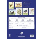 Aquarelle Prédessiné Animaux bloc collé 15F 30x40cm 300g