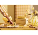 Agrafeuse murale rapid r13 blomster agrafes fil fin n13  poignee ergonomique coloris   jaune