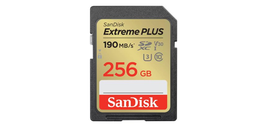 SanDisk SDSDXW2-256G-GNCIN 256 Go SDXC Classe 10