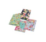 Pigna 02303643L folder Multicolour