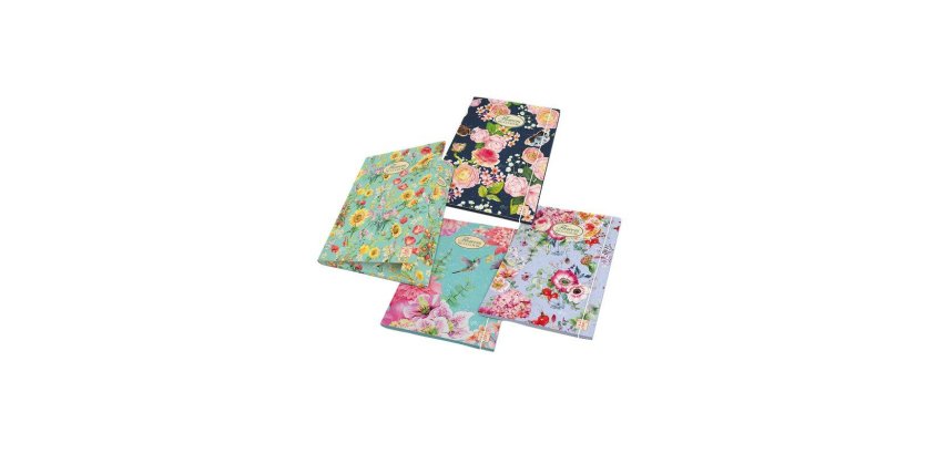 Pigna 02303643L folder Multicolour