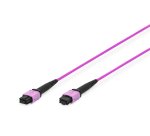 Digitus Cable de conexión MPO, OM4, método A, 5m