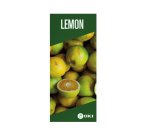 OKI FASTDISPLAY afficheur mural A3