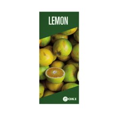 OKI FASTDISPLAY afficheur mural A3