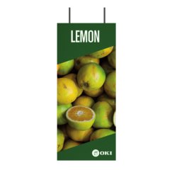 OKI FASTDISPLAY Métal afficheur mural pour A3