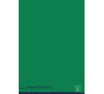 Pigna 02308751F writing notebook A4 Multicolour