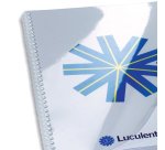 Couvertures de reliure A4 PVC 20/100 GBC transparentes - Paquet de 100