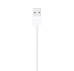 Apple Lightning to USB Cable (1m)