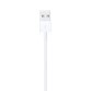 Apple Lightning-naar-USB-kabel (1 m)