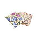 Pigna 02303643L folder Multicolour
