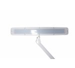 MAUL MAULwork tafellamp 21 W LED Wit