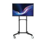 Tripp Lite DMCS3770ROT support pour téléviseur 177,8 cm (70") Noir