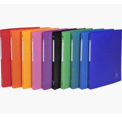 Exacompta 51299E raccoglitore ad anelli A4 Multicolore