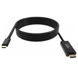 Vision TC 2MUSBCDP8K/BL câble DisplayPort 2 m USB Type-C Noir