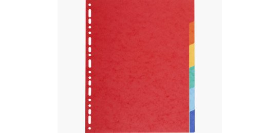 Intercalaire exacompta carte marbrée recyclée 220g 6 positions xxl coloris vifs