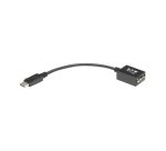 Tripp Lite P134-06N-VGA câble vidéo et adaptateur 0,15 m DisplayPort VGA (D-Sub) Noir