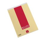 Pigna 0213748BI writing notebook A4 70 sheets Multicolour