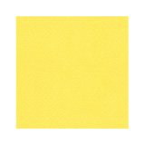Feuille dessin couleur 50 x 65 cm Tiziano 160g Jaune citron