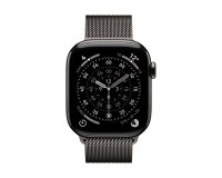 Apple MGJ14ZM/A Smart Wearable Accessories Band Slate colour Stainless steel