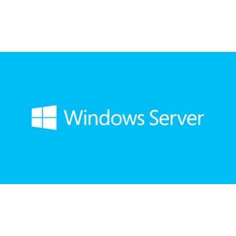 Microsoft Windows Server 2019 Client Access License (CAL)