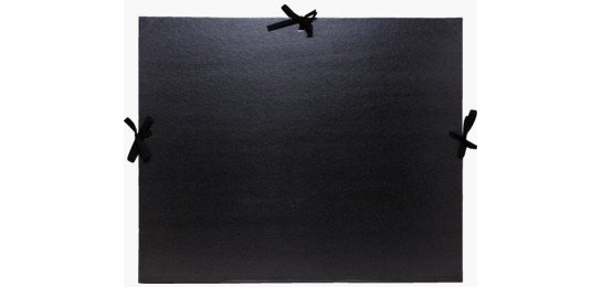 Exacompta 25738E cartella Cartone Nero A3 (297x420)