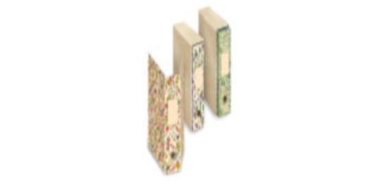 Registratore a leva Nature Flowers - protocollo - dorso 8cm - Pigna