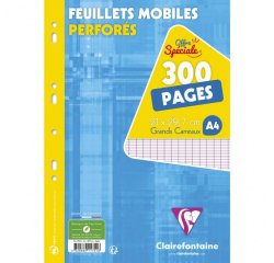 Feuillets mobiles sous film A4 300 pages perforées grands carreaux