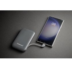 Intenso S10000 Polimeri di litio (LiPo) 10000 mAh Grigio