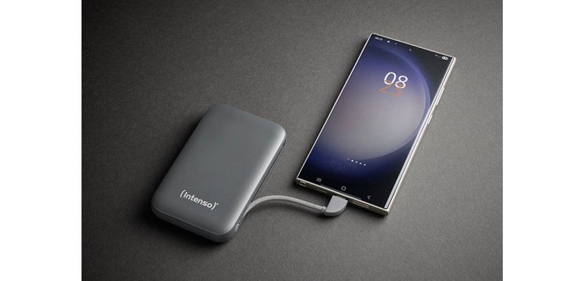 Intenso S10000 Polimeri di litio (LiPo) 10000 mAh Grigio