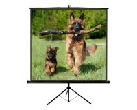 Sopar NEW Junior projection screen 1:1