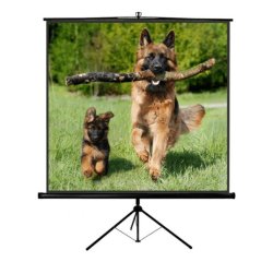 Sopar NEW Junior projection screen 1:1