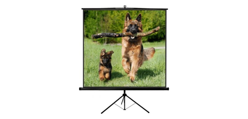 Sopar NEW Junior projection screen 1:1