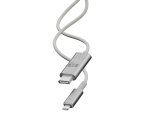 LINQ LQCCD200 changeur de genre de câble USB C DP Gris