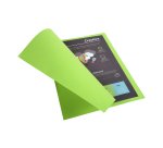 Paquet de 10 chemises ROCK'S en carte 210 grammes coloris vert